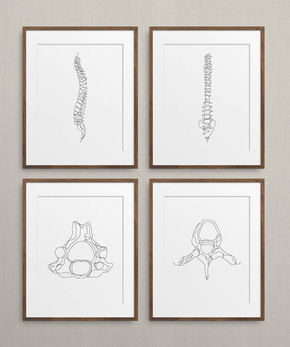 Human Anatomy Skeleton Piece Set of 4 | Fine Art Prints