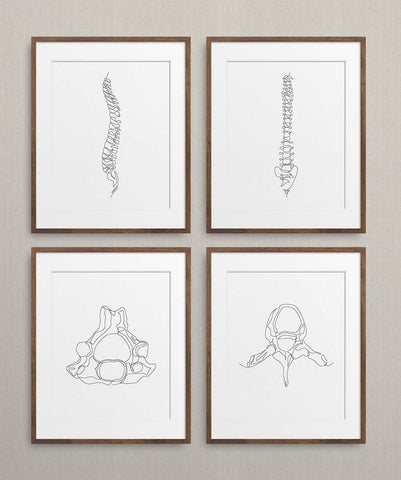 Human Anatomy Skeleton Piece Set of 4 | Fine Art Prints