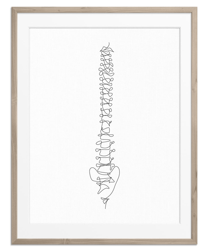 Minimalist Abstract Spine Art Drawing Poster