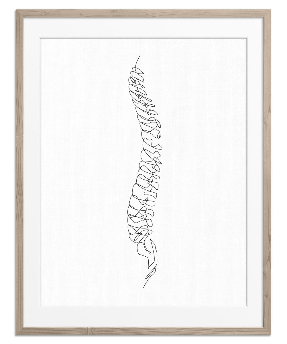 Chiropractor Spine Continuous One Line Drawing Stock Vector (Royalty Free)  2316335783 | Shutterstock