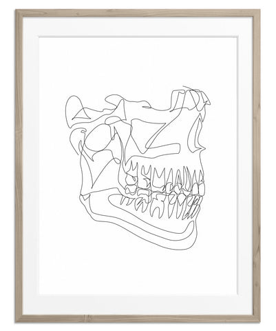 Abstract Skull No. 2 | Fine Art Print