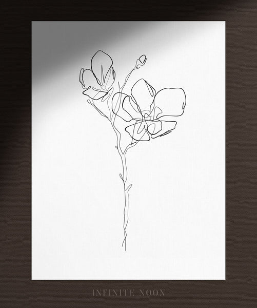 Flower Blossom No.2 | Fine Art Print