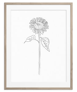 Sunflower With Two Leaves | Fine Art Print