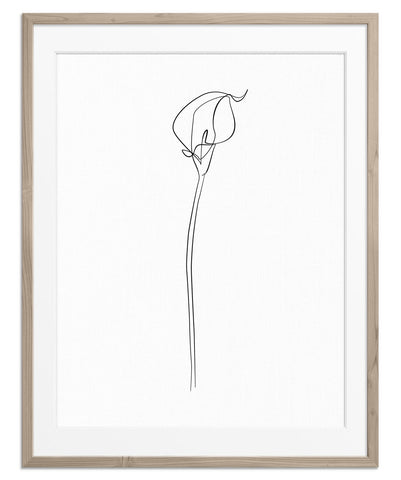 Lonely Tulip | Fine Art Print